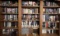 Assorted Books, Historical Accounts, Presidential Figurines, Presidential Bells, etc.