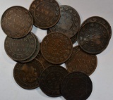 14 CANADIAN LARGE CENTS