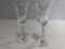 2 STEMMED SHOT GLASSES WITH FLORAL IMPRINT