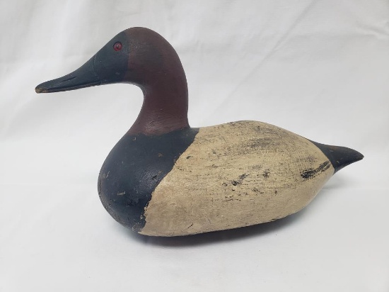 CANVASBACK CARVED DECOY