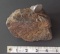 3 LB 6 0Z UNCLASSIFIED CHRONDRITE METEORITE