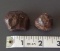 TWO (2) UNCLASSIFIED STONY IRON METEORITES