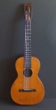 WASHBURN NEW MODEL ACOUSTIC PARLOR GUITAR