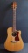 GUILD ELECTRIC / ACOUSTIC GUITAR W/ORIG. CASE