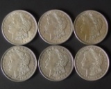 6 HIGH GRADE MORGAN SILVER DOLLAR COINS