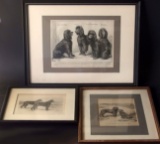 3 IRISH WATER SPANIEL PRINTS