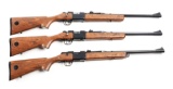 (M) Lot of 3: Daisy Legacy .22 Rifles.