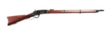 (C) Winchester Model 1873 Lever Action Musket.