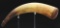 Powder Horn Of I.S. Provoost Engraved With Highlander And Attributed To The Master Carver.