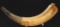 Engraved Powder Horn Of Elijah Sharp, Dated 1759, Fort Edward, 