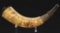 Engraved Quebec Map Powder Horn, Attributed To The Master Carver.