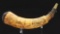 Pointed Tree Carver Attributed Ontario Map Powder Horn 