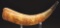 Master Carver Attributed Engraved Map Powder Horn With British Flags, Indians, And Arms..