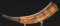 Engraved Fort Edward Map Powder Horn Of James Lekey, Dated 1757 And Signed By Carver William Akins O
