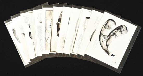 Rare Set Of Original Photographs Of Rufus Grider Drawings With Notes.