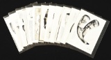 Rare Set Of Original Photographs Of Rufus Grider Drawings With Notes.