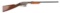 (C) Savage Arms Model 1909 Slide Action Rifle.