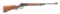 (C) HIGH CONDITION WINCHESTER DELUXE MODEL 71 LEVER ACTION RIFLE (1956).