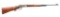 (C) WINCHESTER 64 LEVER ACTION RIFLE.