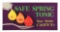 SAFE SPRING TONIC FOR YOUR CHEVY THREE DIMENSIONAL LIGHT UP SIGN.