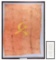 VIETNAM WAR RUSSIAN FLAG CAPTURED BY 44TH VIETNAMESE RANGERS MACV ADVISOR