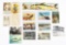 LOT OF VARIOUS EARLY FISHING-THEMED POSTCARDS.