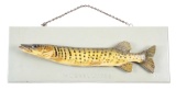 MOUNTED MUSKELLUNGE.
