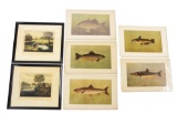 LOT OF 7: VARIOUS FRAMED AND UNFRAMED FISH LITHOGRAPHS.