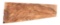 GRADE 5 TURKISH WALNUT SHOTGUN STOCK BLANK.