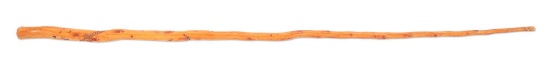 CIVIL WAR PRESENTATION CANE CUT FROM THE ANTIETAM BATTLEFIELD.