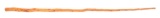 CIVIL WAR PRESENTATION CANE CUT FROM THE ANTIETAM BATTLEFIELD.
