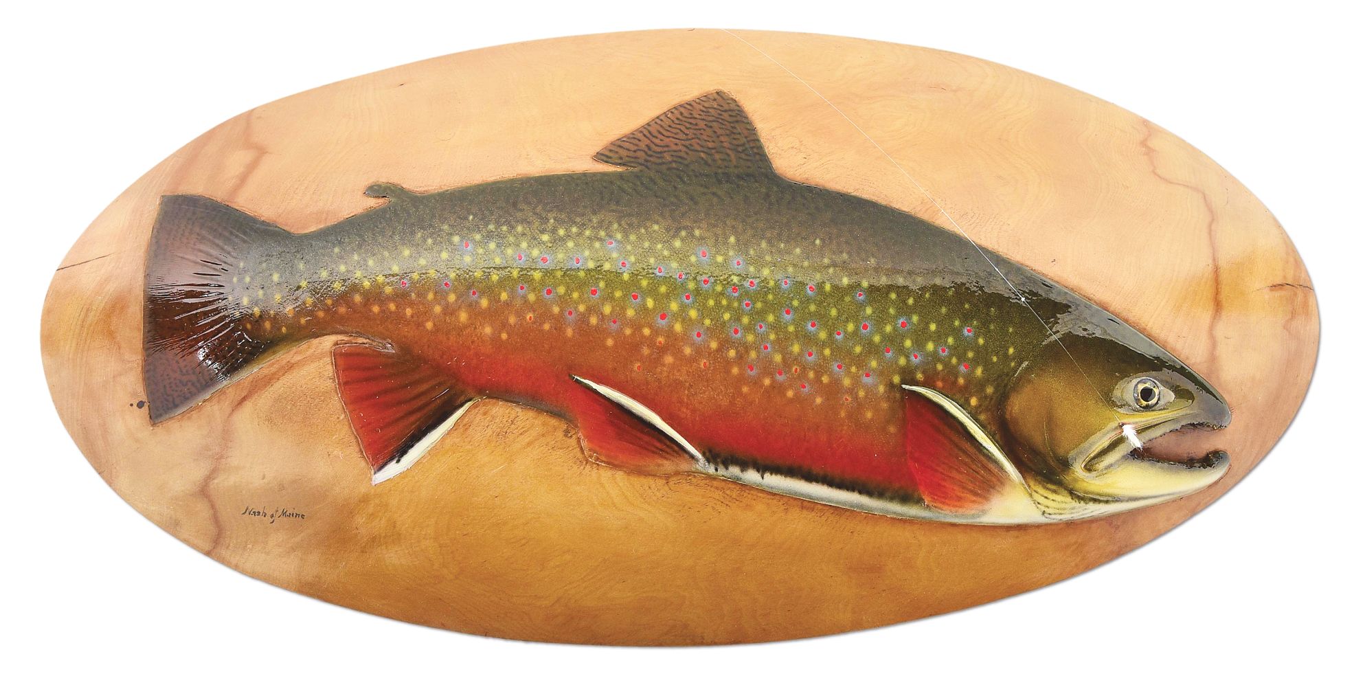 Rainbow Trout Plaque Brass Name Fishing mount Taxidermy