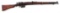 (C) ISHAPORE MODEL 2A1 BOLT ACTION RIFLE.