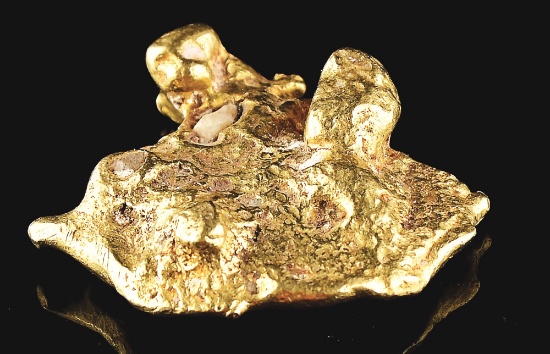 GOLD NUGGET