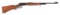 (C) ATTRACTIVELY ENGRAVED WINCHESTER MODEL 64 LEVER ACTION RIFLE.