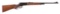 (C) WINCHESTER MODEL 71 LEVER ACTION RIFLE.