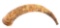 ENGRAVED NIAGARA JULY 24, 1759 DATED NEW YORK MAP POWDER HORN.