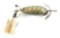 CLINTON WILT LITTLE WONDER GOLD WITH GREEN STRIPES