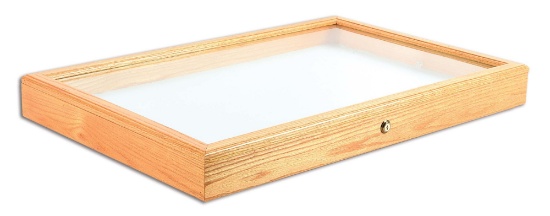 LARGE OAK DISPLAY CASE WITH KEY, EXCELLENT CONDITION