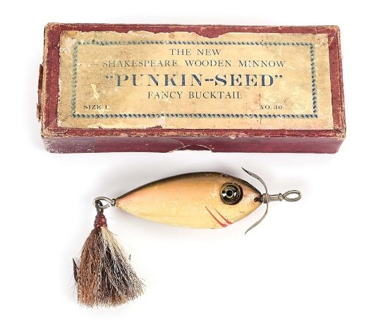 SHAKESPEARE PUNKINSEED IN INTRO BOX