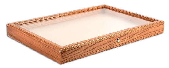 LARGE WOODEN DISPLAY CASE