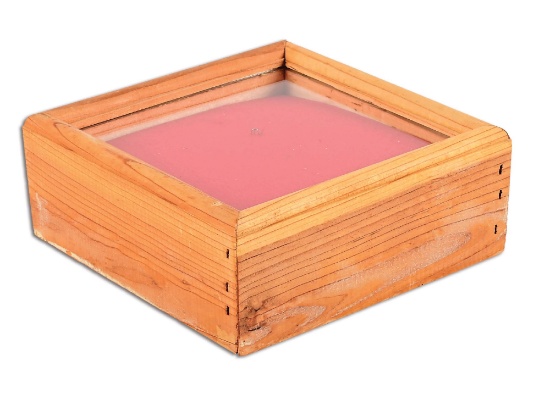 SMALL WOODEN DISPLAY CASE