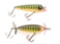 PAW PAW SCOOPNOSE & SURFACE MINNOW