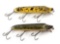 HEDDON VAMPS IN RARE MEADOW FROG VARIATIONS