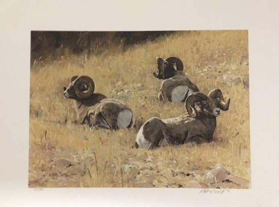 Fine Art Western and Wildlife Print Collection