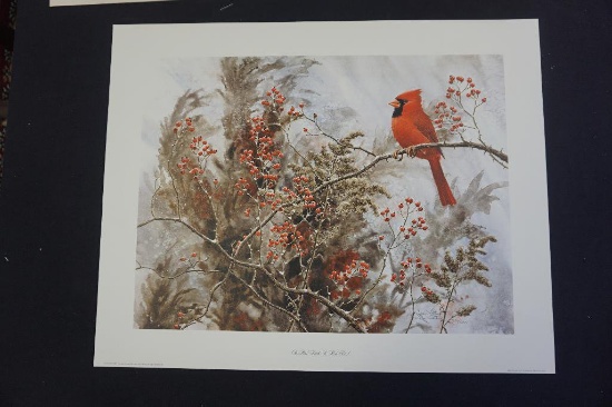 Oh Red Bird by Jean Veitor