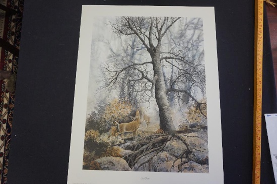 Deer Watcher by Jean Veitor