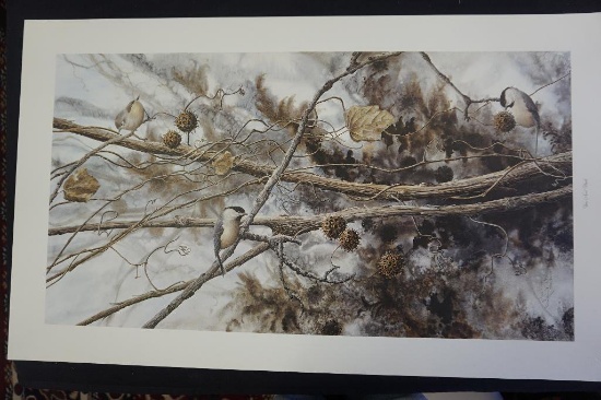 Vines and Finds by Jean Vietor