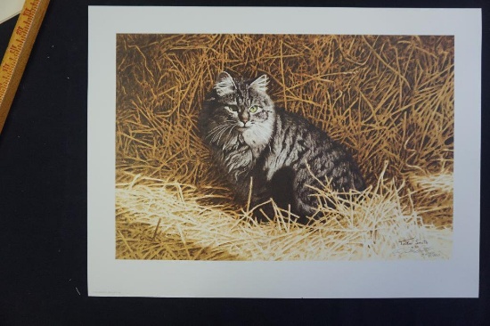 Barn Cat by Tucker Smith