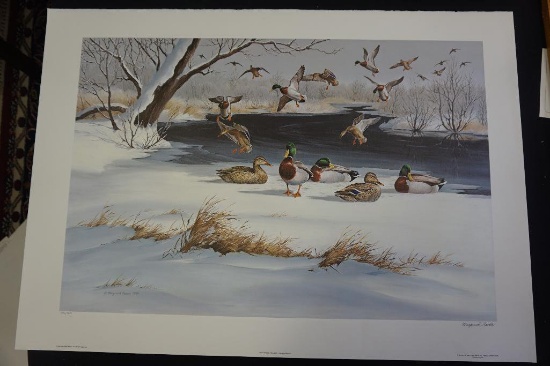 Good Morning Mallards by Maynard Reece